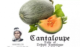 天仙吃瓜爆料是真的吗,真相揭秘，是真是假？